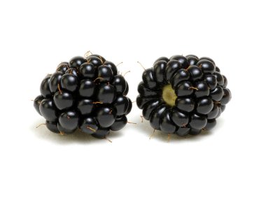  Olgun böğürtlenler beyaz arka planda izole edilmiş kırpma yolu ile.