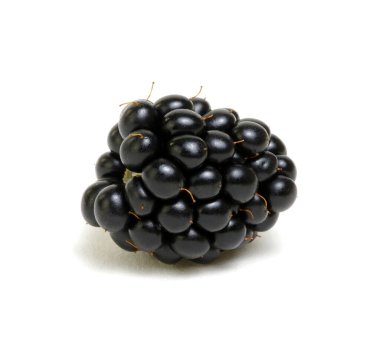 Blackberry beyaz arkaplanda izole edildi.