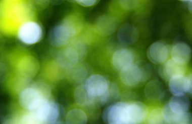 Yeşil bulanık arkaplan, bokeh etkisi.