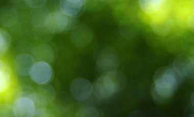 Yeşil bulanık arkaplan, bokeh etkisi.