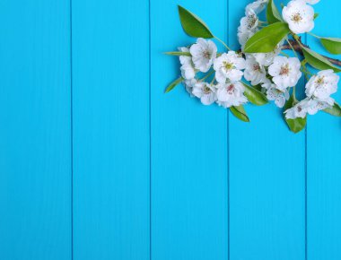 Tahta arka planda bahar çiçekleri