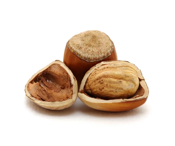 Closeup Hazelnuts Isolated White Background — Stock Photo, Image