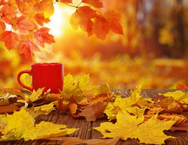 Sonbahar yaprakları ve güneşte kırmızı kahve bulanık ağaçlar. Sonbahar arkaplanı.