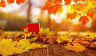 Sonbahar yaprakları ve güneşte kırmızı kahve bulanık ağaçlar. Sonbahar arkaplanı.