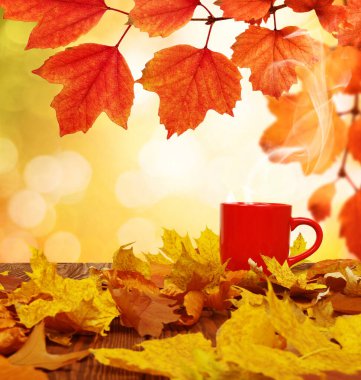 Sonbahar yaprakları ve güneşte kırmızı kahve bulanık ağaçlar. Sonbahar arkaplanı.