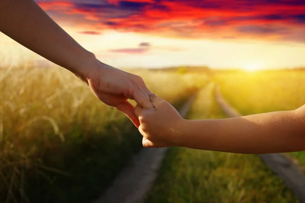 Hands of holding each other in field on road and sun