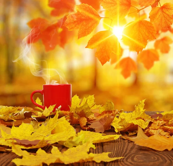 Herbstblätter Und Eine Rote Tasse Kaffee Der Sonne Verwischten Die — Stockfoto