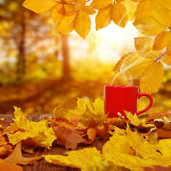 Foglie Autunnali Una Tazza Caffè Rosso Sugli Alberi Sfocati Dal — Foto Stock