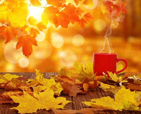 Herbstblätter Und Eine Rote Tasse Kaffee Der Sonne Verwischten Die — Stockfoto