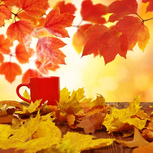 Herbstblätter Und Eine Rote Tasse Kaffee Der Sonne Verwischten Die — Stockfoto