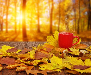 Sonbahar yaprakları ve sıcak bir fincan kahve. Güneş ışığı arka planında tahta masa. Sonbahar zaman kavramı.