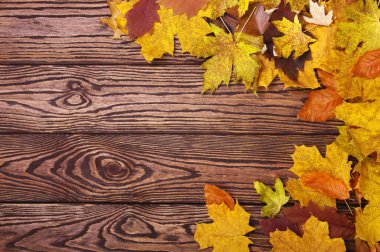 Sonbahar yaprakları, ahşap arka planda sıcak bir kahve fincanı.. 