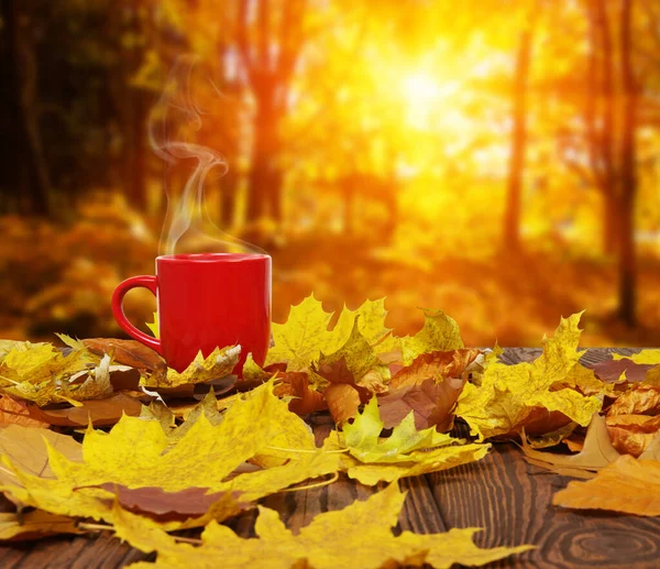 Herbstblätter Und Eine Heiße Dampfende Tasse Kaffee Holztisch Auf Hellem — Stockfoto