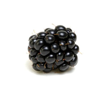 Blackberry beyaz arkaplanda izole edildi.