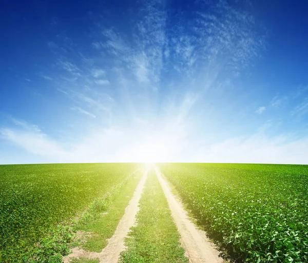 Strada Campo Verde Cielo Blu Con Nuvole — Foto Stock