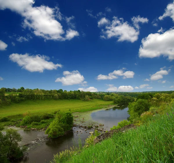 Landschap Met Bomen Een Rivier — Stockfoto