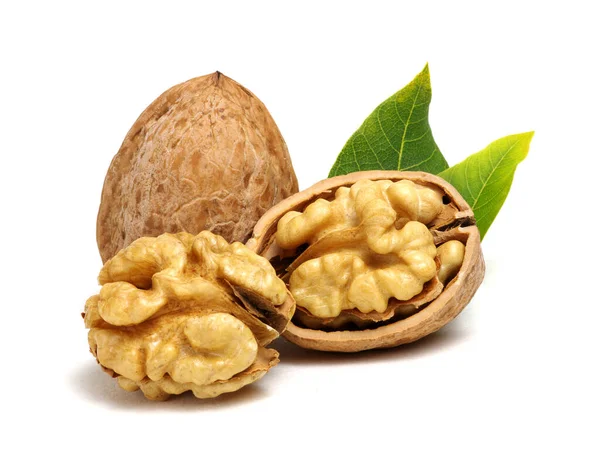 Nueces Con Hojas Aisladas Blanco — Foto de Stock