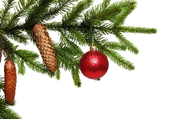 クリスマスの装飾 白い背景に孤立したコーンとモミの木の枝を持つ赤いボール — ストック写真