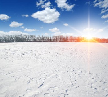 Kış manzarası. Gökyüzünde ve güneşte karla kaplı tarlalar.