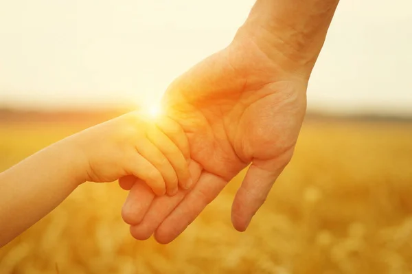 太陽の下で父と娘の手 コムギ畑で互いを保持する — ストック写真