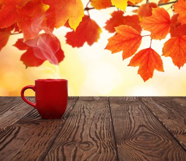 Sonbahar yaprakları ve sıcak bir fincan kahve. Güneş ışığı arka planında tahta masa. Sonbahar zaman kavramı.