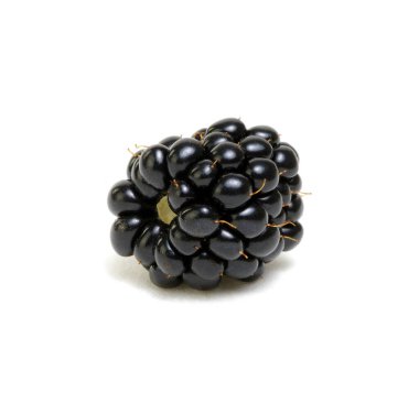 Blackberry beyaz arkaplanda izole edildi.