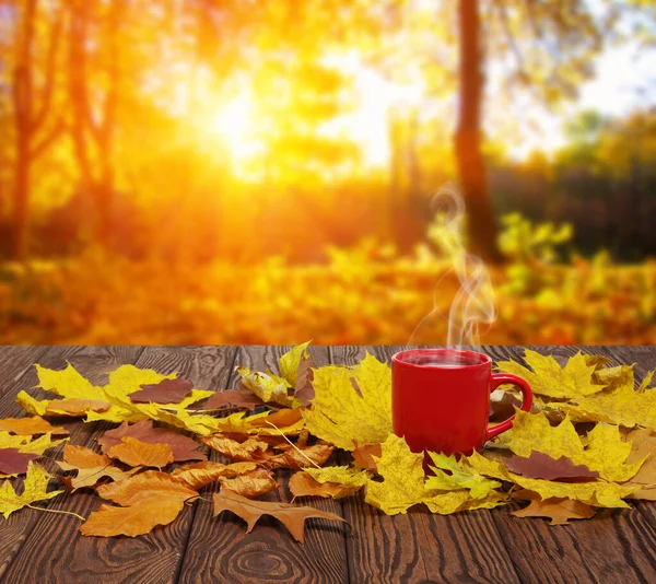 Autumn leaves and hot steaming cup of coffee. Wooden table on sun light background. Fall time concept.