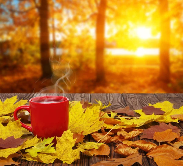 Herbstblätter Und Eine Heiße Dampfende Tasse Kaffee Holztisch Auf Hellem — Stockfoto