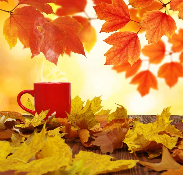 Autumn Leaves Hot Steaming Cup Coffee Wooden Table Sun Light — Stock Photo, Image