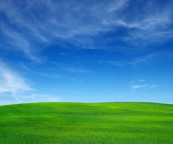 Yeşil Tarla Bulutlu Mavi Gökyüzü — Stok fotoğraf