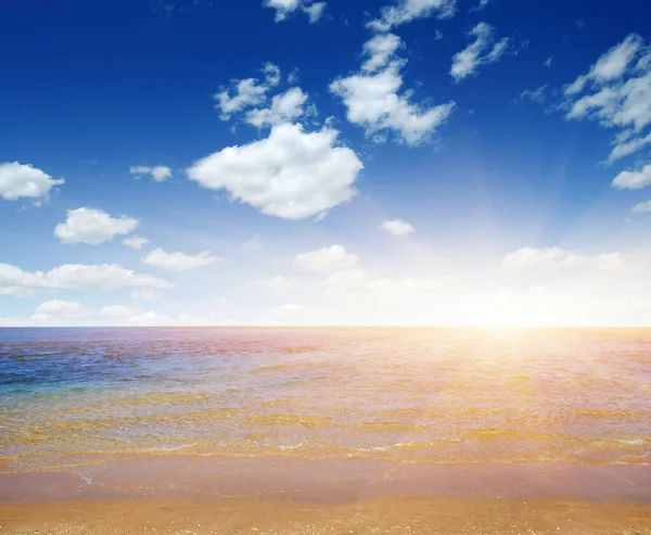 Пляж Море Небі — стокове фото