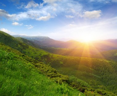 Güneşli dağ manzarası