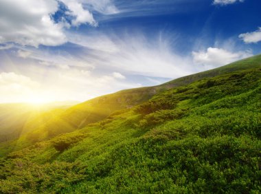 Güneşli dağ manzarası