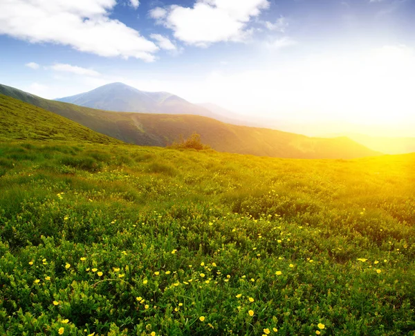 Paisaje Montaña Con Sol — Foto de Stock