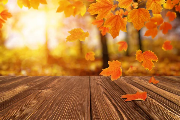 Herfst Bladeren Zon Val Wazig Achtergrond — Stockfoto