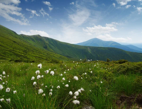 Paisaje Montaña Verano — Foto de Stock