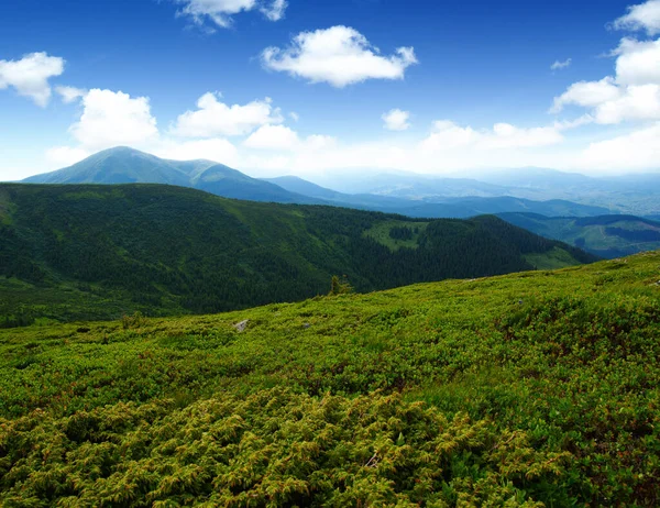 Paisaje Montaña Verano — Foto de Stock