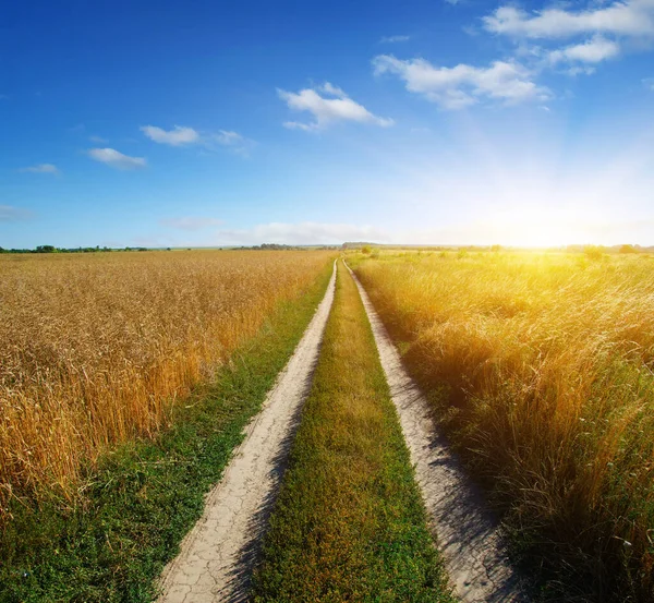 Route Dans Champ Ciel Bleu Avec Des Nuages — Photo