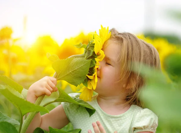 Glückliches Kleines Mädchen Das Eine Sonnenblume Auf Dem Feld Riecht — Stockfoto