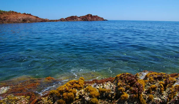 Пейзаж Моря Скалами Чистая Голубая Вода Заливе — стоковое фото