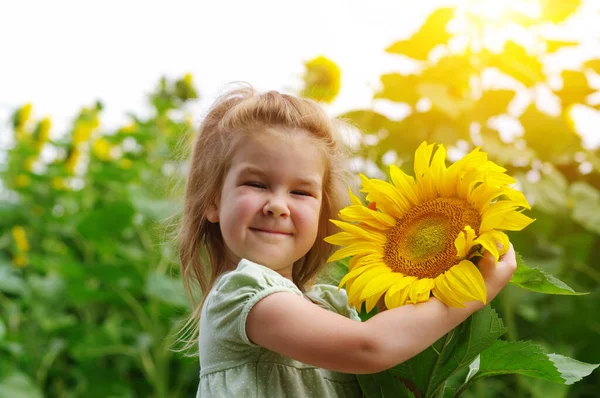 Glückliches Kleines Mädchen Das Eine Sonnenblume Auf Dem Feld Riecht — Stockfoto