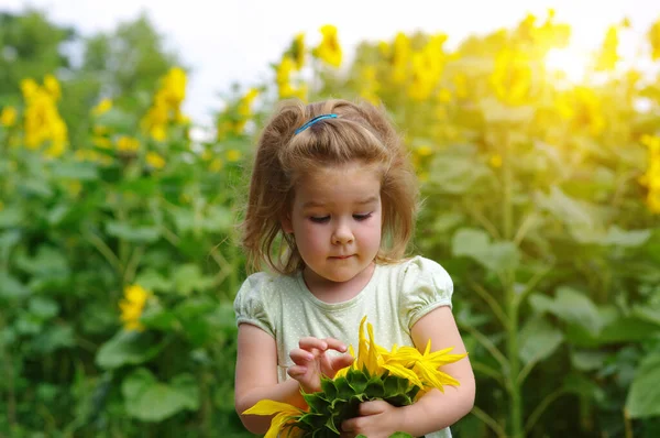 Bonne Petite Fille Sentant Tournesol Sur Terrain — Photo