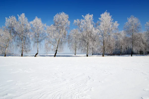 Gebied Van Sneeuw Bewolkte Lucht — Stockfoto