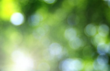 Yeşil bulanık arkaplan, bokeh etkisi.