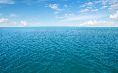  Deniz okyanusu ve mavi gökyüzü arka planı