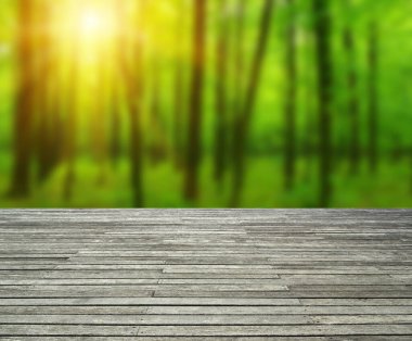 Ormandaki ahşap doku ve ağaçlar