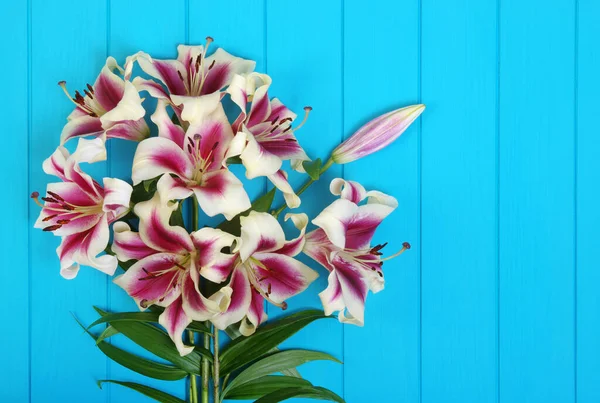 Fiori Freschi Giglio Primaverile Tavole Legno Dipinte Turchese — Foto Stock