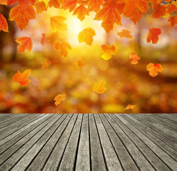 Wood Texture Plank Autumn Leaves Sun Rays — Stock Photo, Image