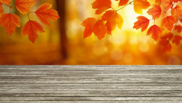 Holzstruktur Planke Und Herbstblätter Sonnenstrahlen — Stockfoto