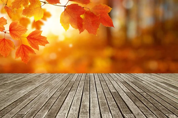 Hout Textuur Plank Herfst Bladeren Zonnestralen — Stockfoto